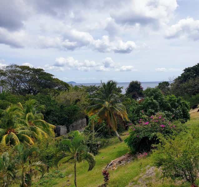 Osiedle mieszkaniowe w Case-Pilote, Martinique 11536579
