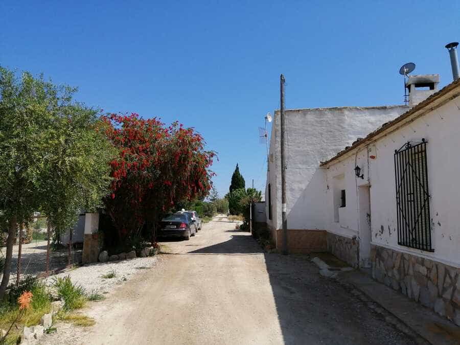 House in Dolores, Valencia 11537260