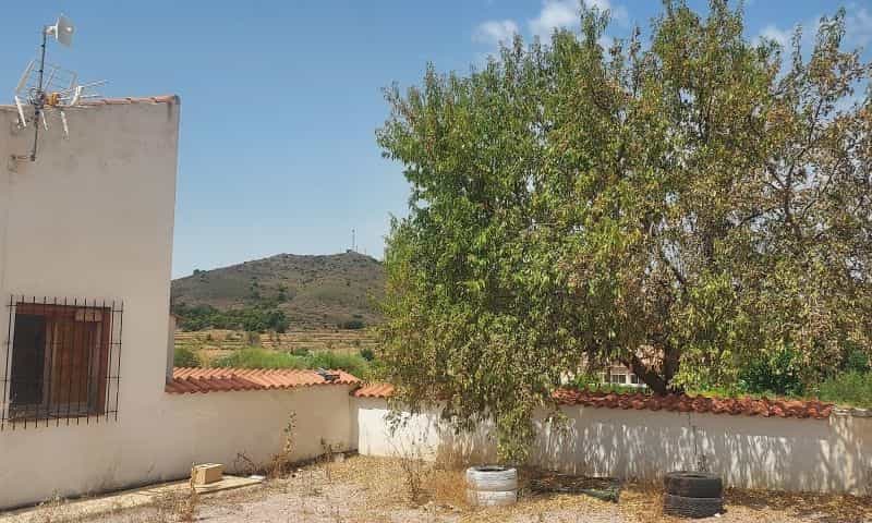 Dom w El Fondó de les Neus, Valencian Community 11538083