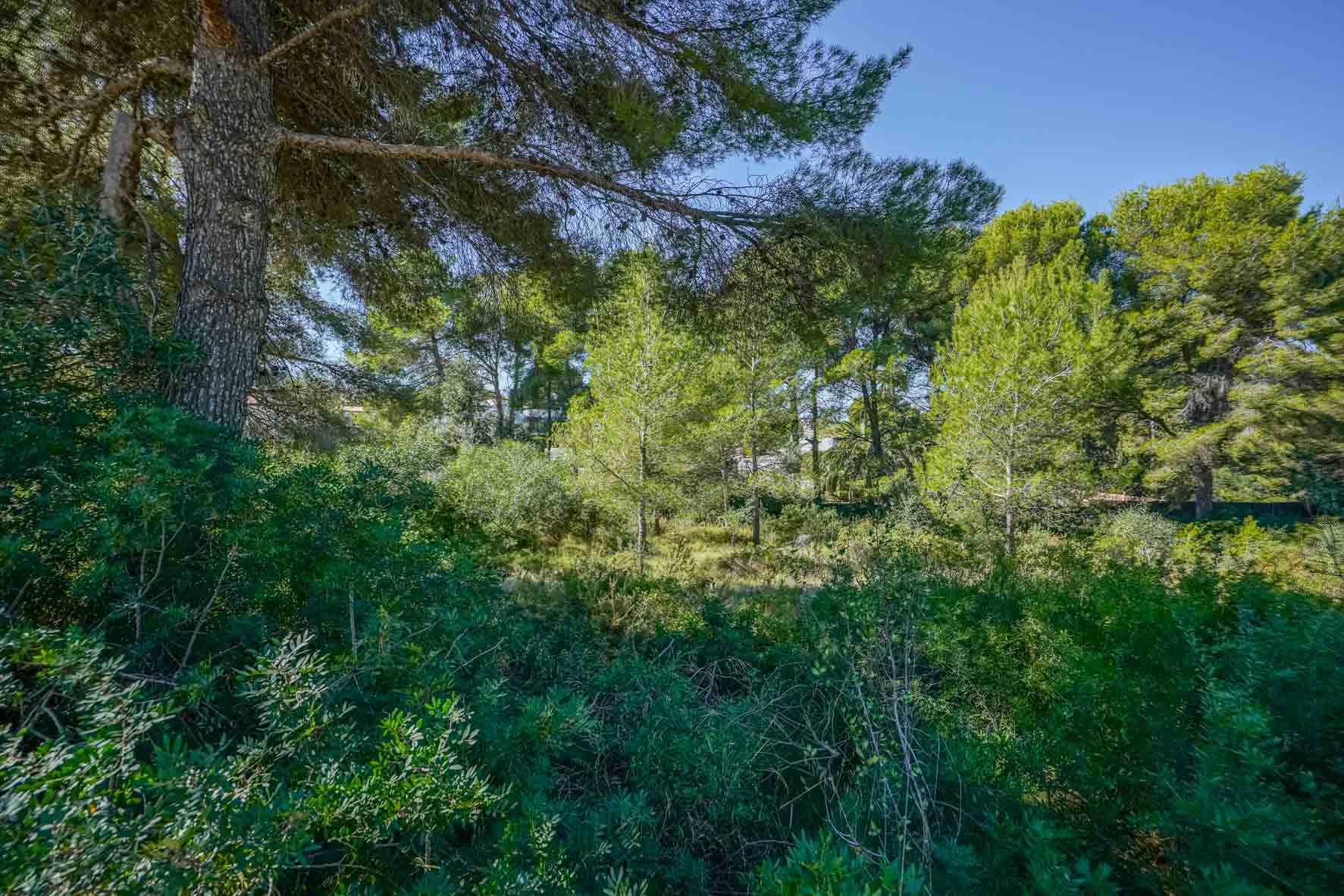 الأرض في Xàbia, Comunidad Valenciana 11541107