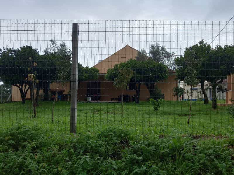 Hus i Santarem, Santarém District 11541416