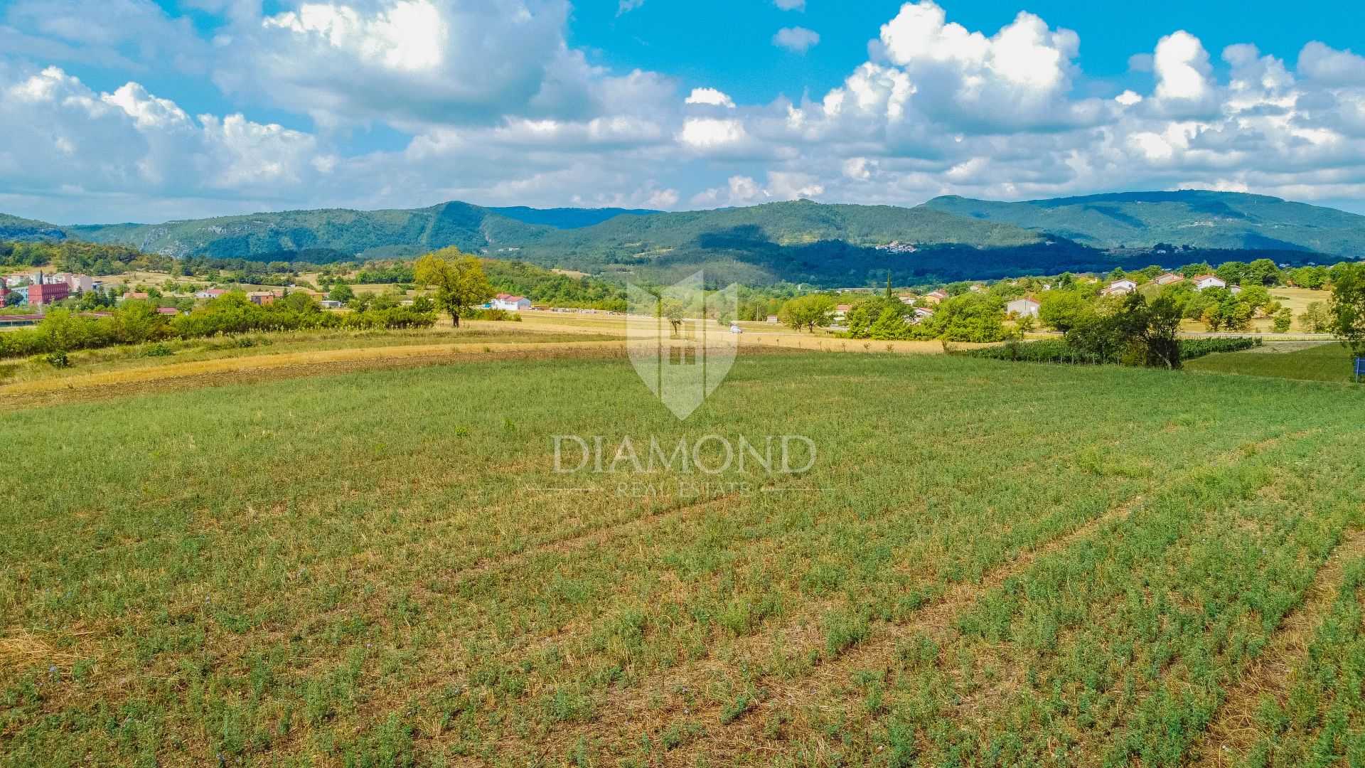 Land in Buzet, Istria County 11541646