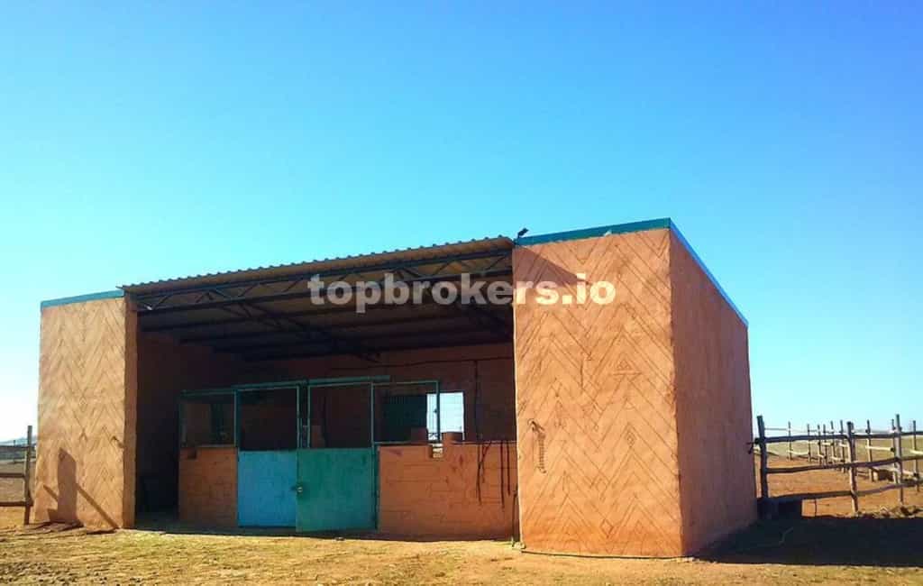 Hus i Torrenueva, Castilla-La Mancha 11541808