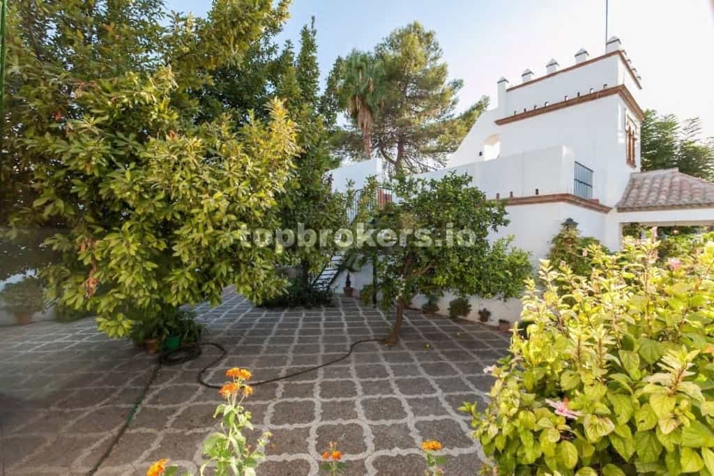 House in Villanueva del Ariscal, Andalusia 11542955