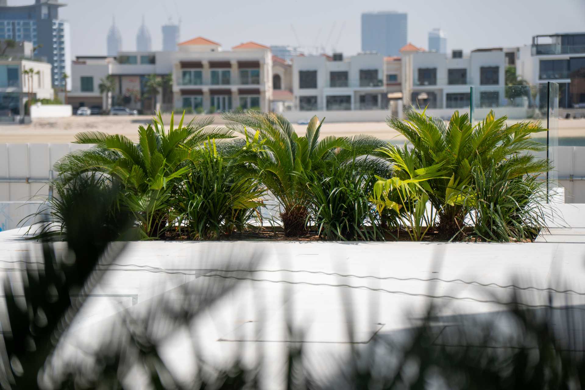 Haus im Dubai, Dubai 11544267
