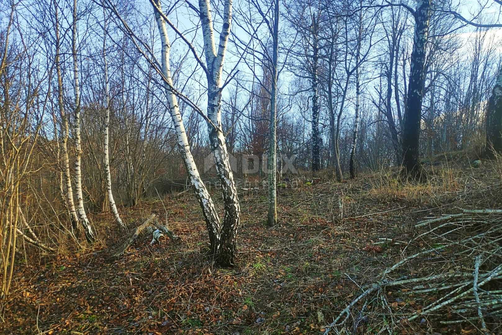 Tanah di Fuzine, Primorsko-Goranska Zupanija 11544434