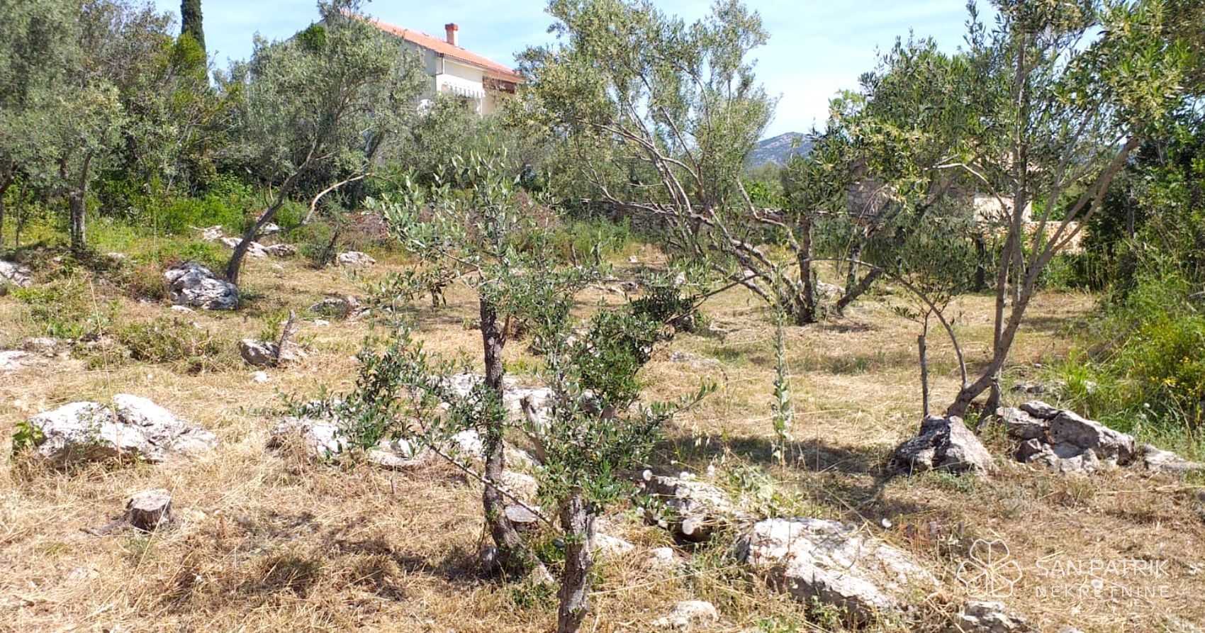 Tanah dalam Preko, Zadarska Zupanija 11546767
