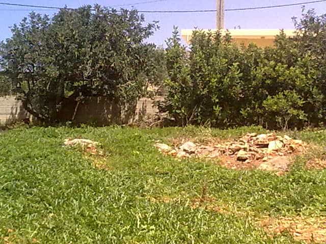 Land in Chorafakia, Kriti 11553623