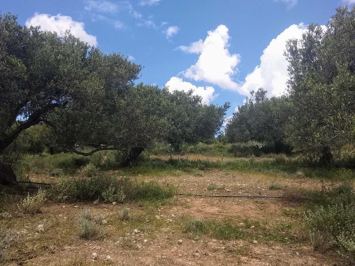 Land in Sternes,  11553835