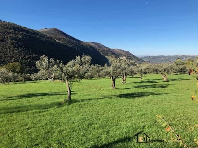Tanah dalam Segni, Lazio 11554008
