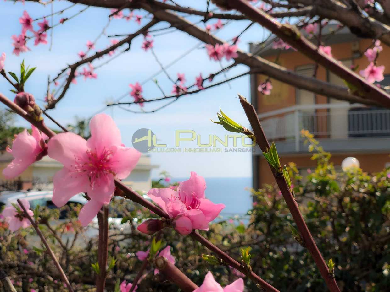 House in Quiliano, Liguria 11555063