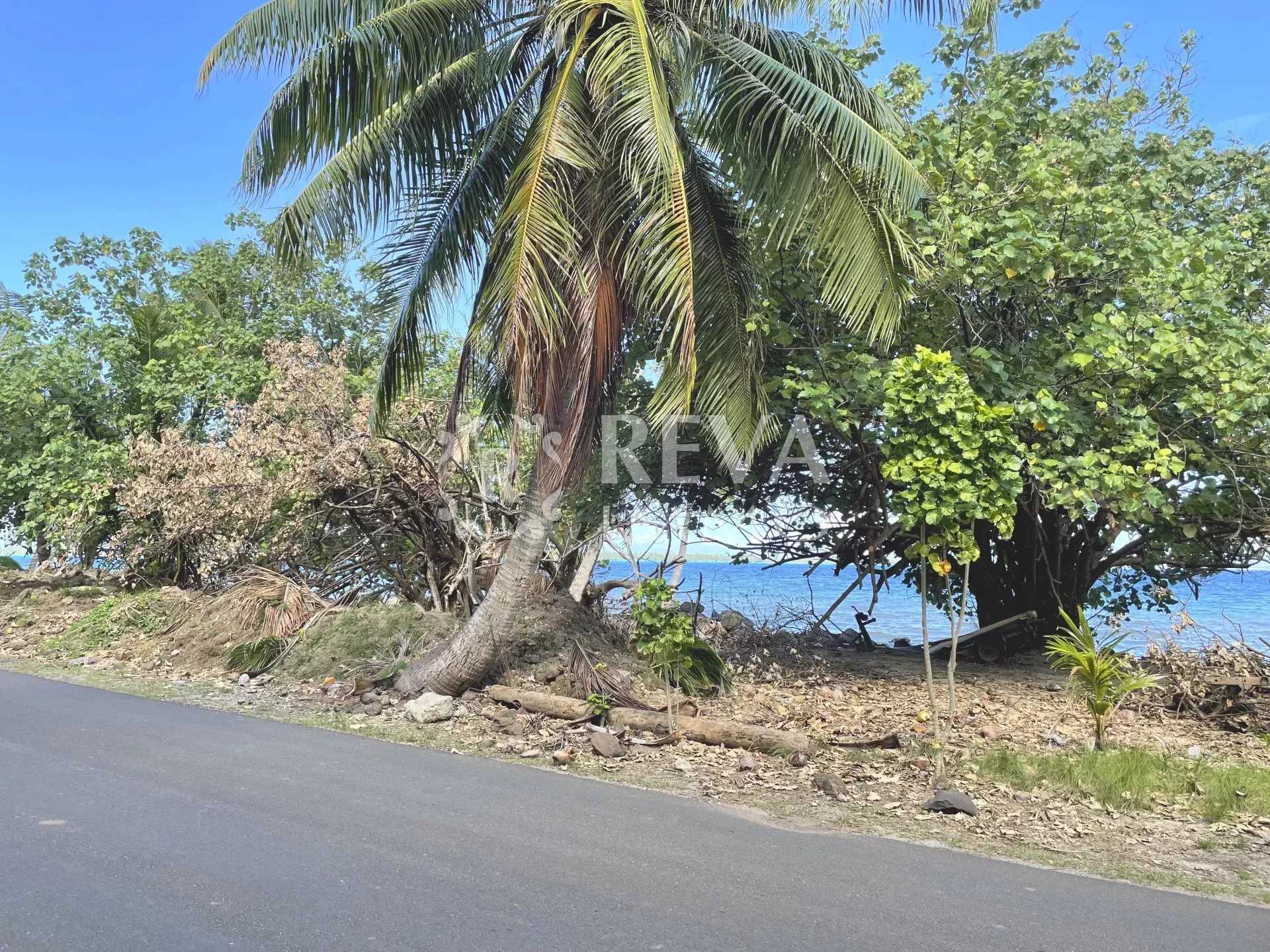 Land in Faanui, Iles Sous-le-Vent 11555344