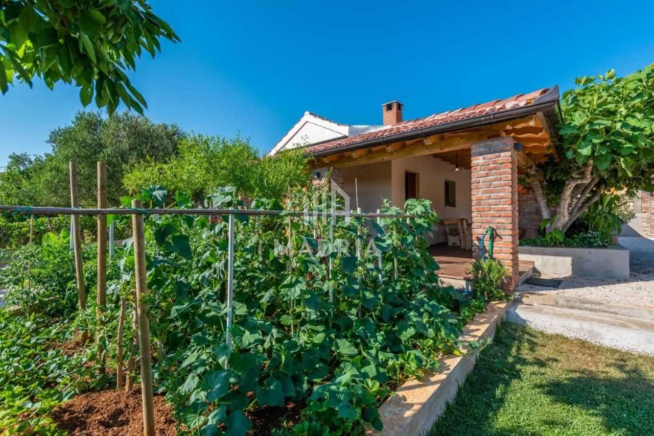 House in Debeljak, Sukošan, Zadar County 11607514