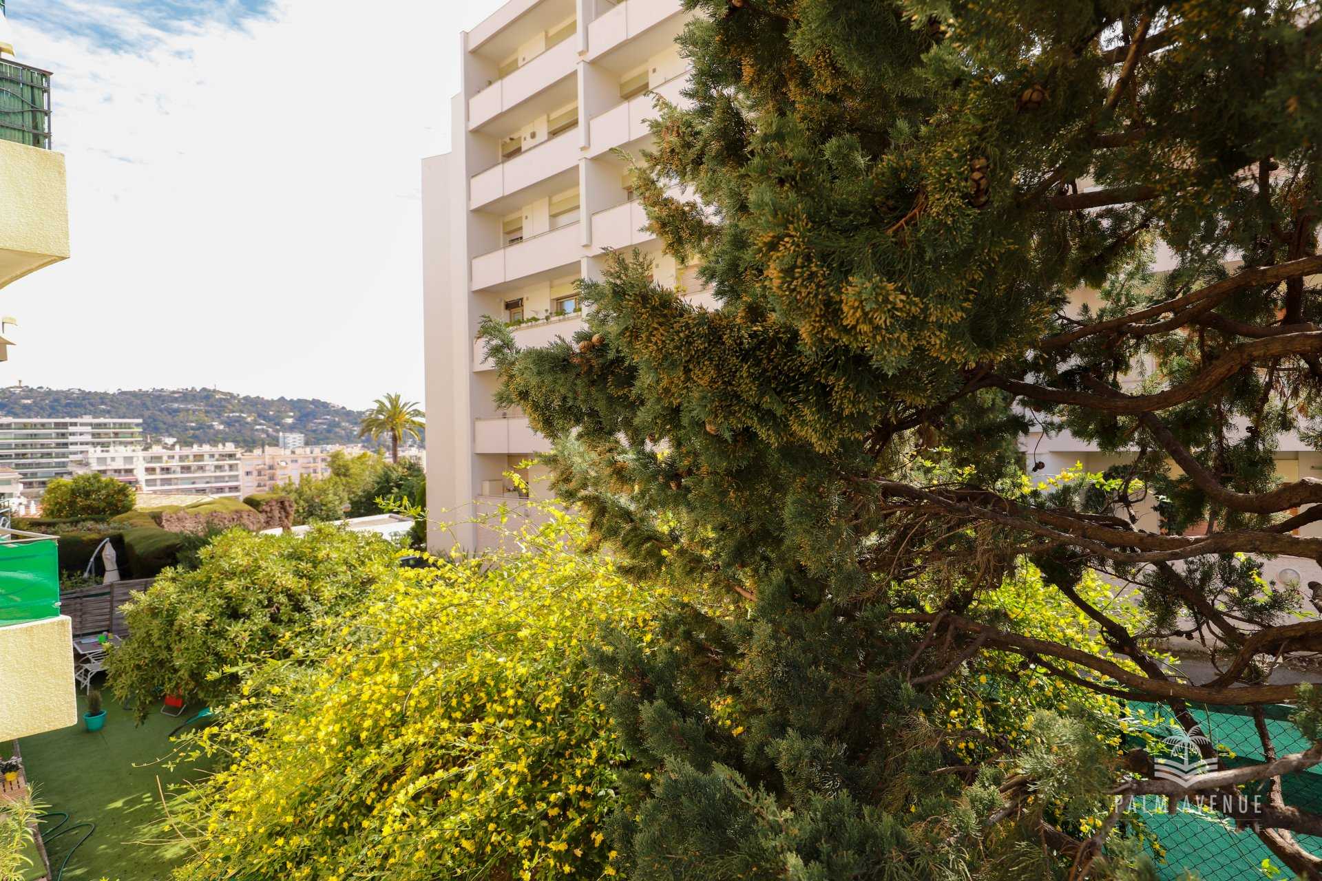 公寓 在 Cannes, Alpes-Maritimes 11613524