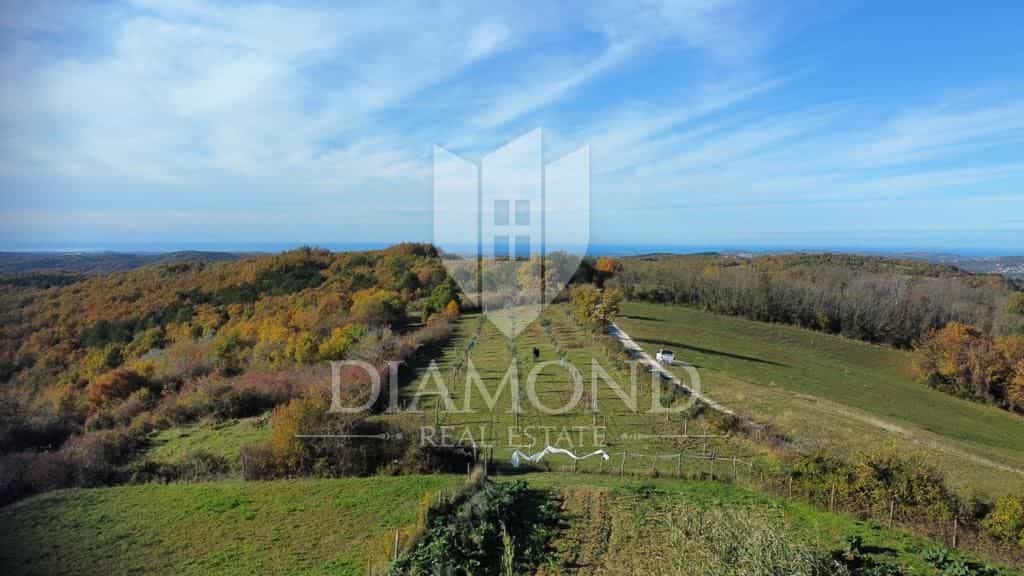 Terre dans Momjan, Istria County 11614609