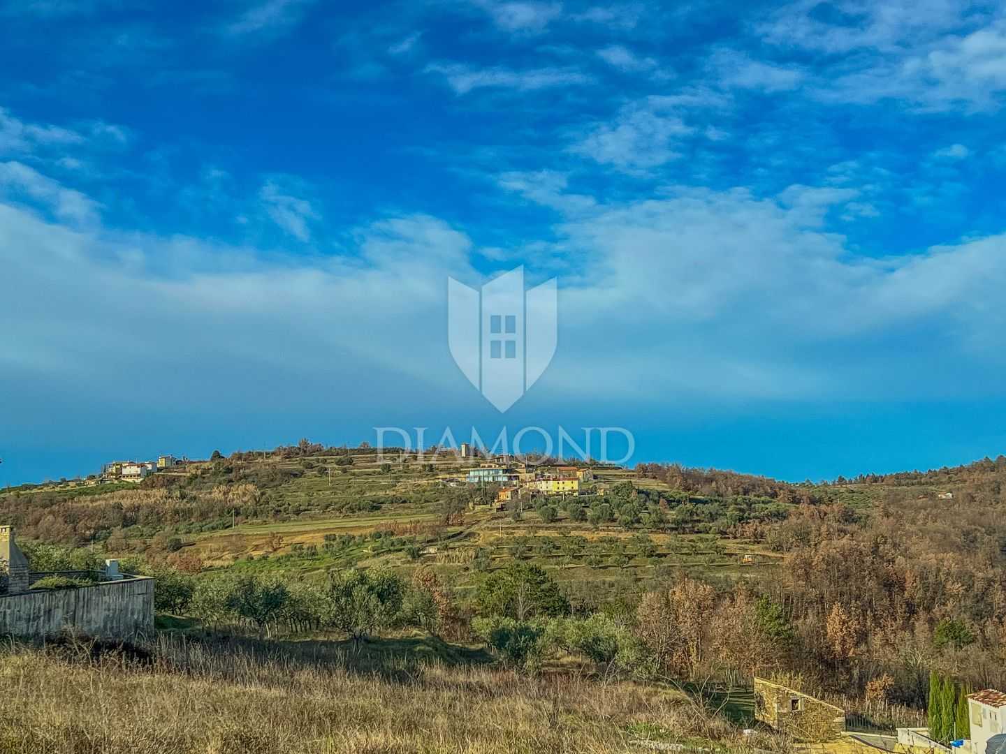 Land in Sveti Peter, Piran 11616542