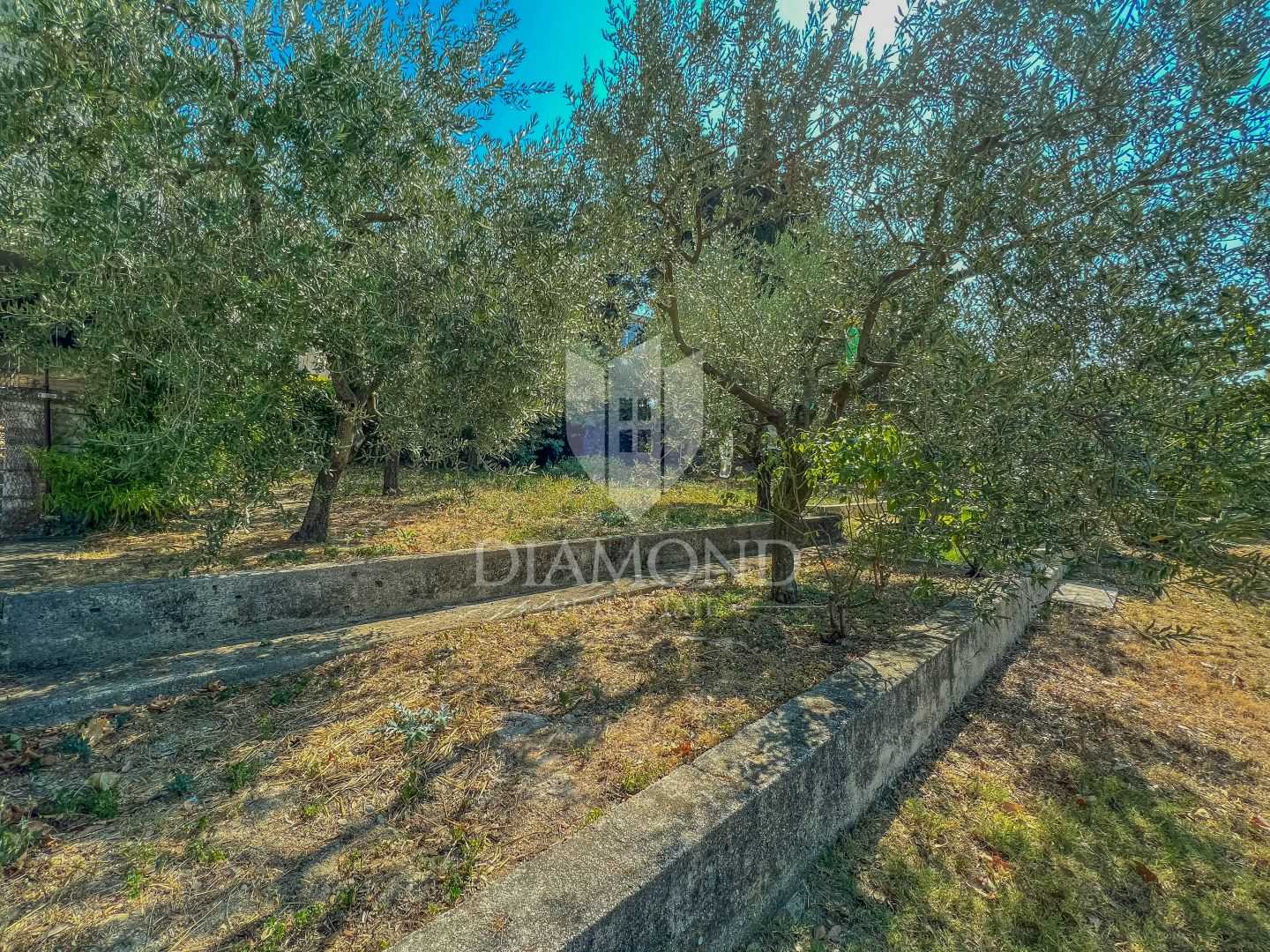 Haus im Buje, Istria County 11618201
