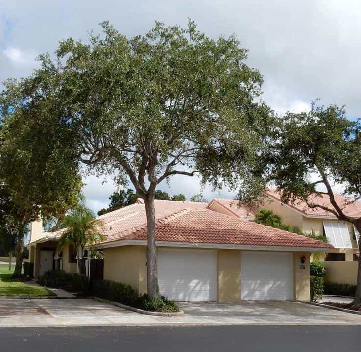 Dom w Ogrody Palm Beach, Floryda 11621113