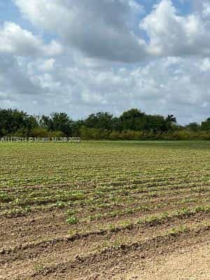 Land in Roodland, Florida 11622078