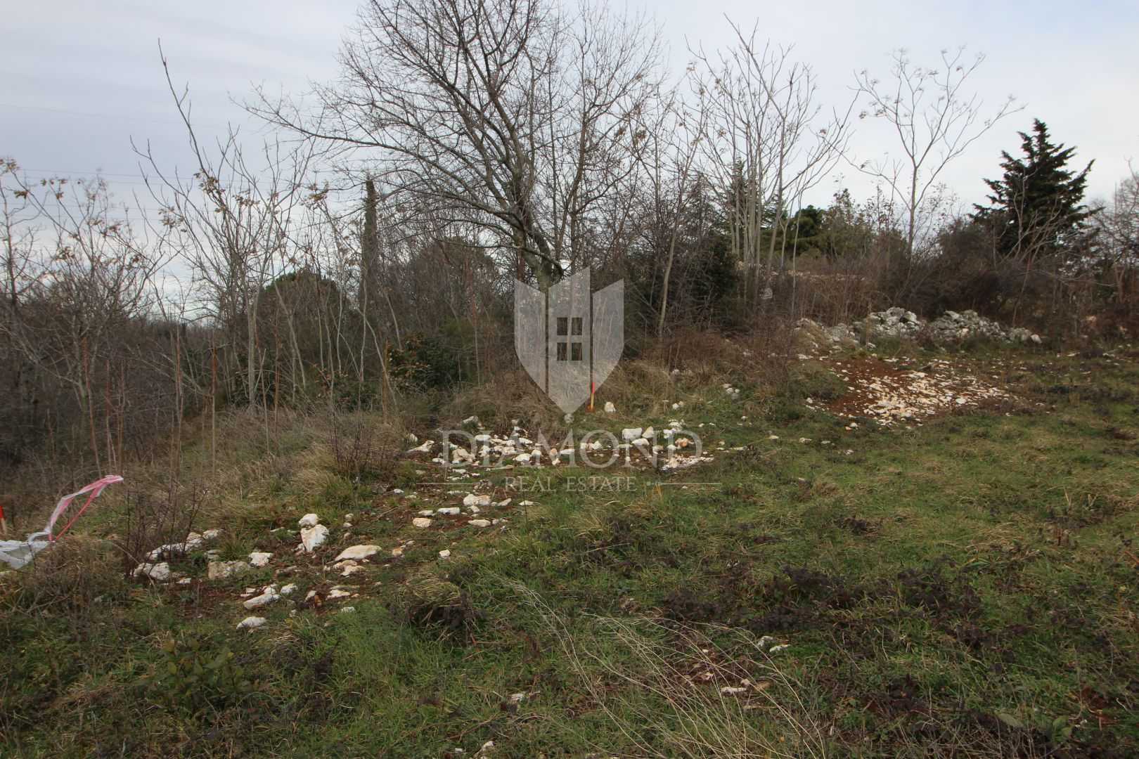Land in Labin, Istria County 11625562