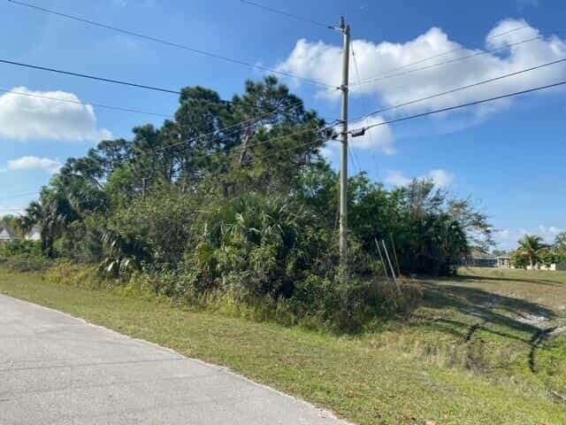 Land in Carlton, Florida 11625640