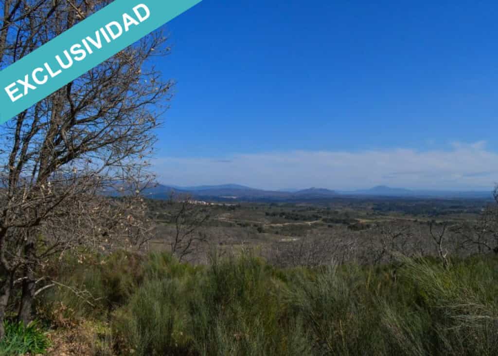 Maa sisään Perales del Puerto, Extremadura 11625909