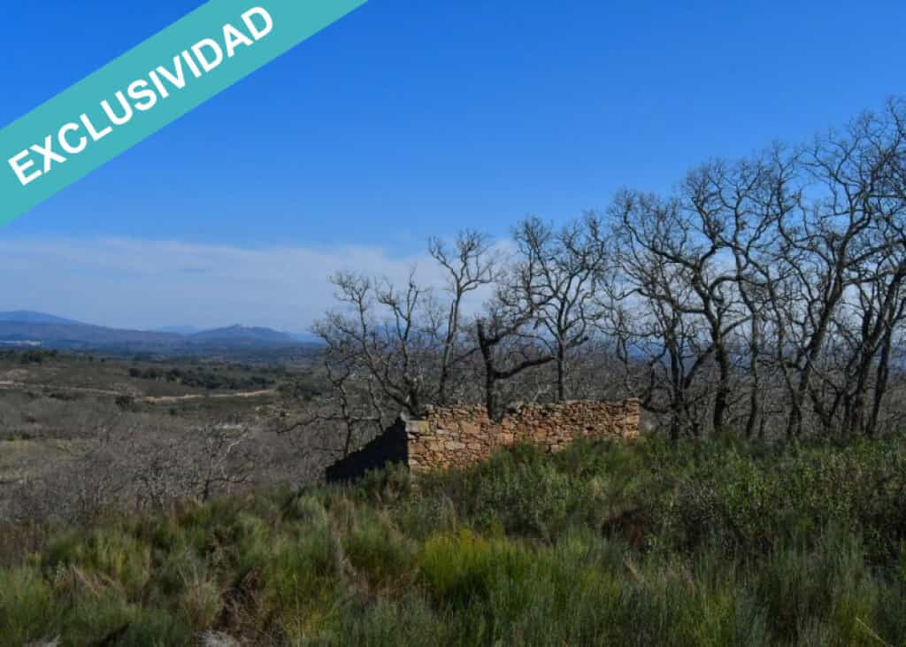 Land in Perales del Puerto, Extremadura 11625909