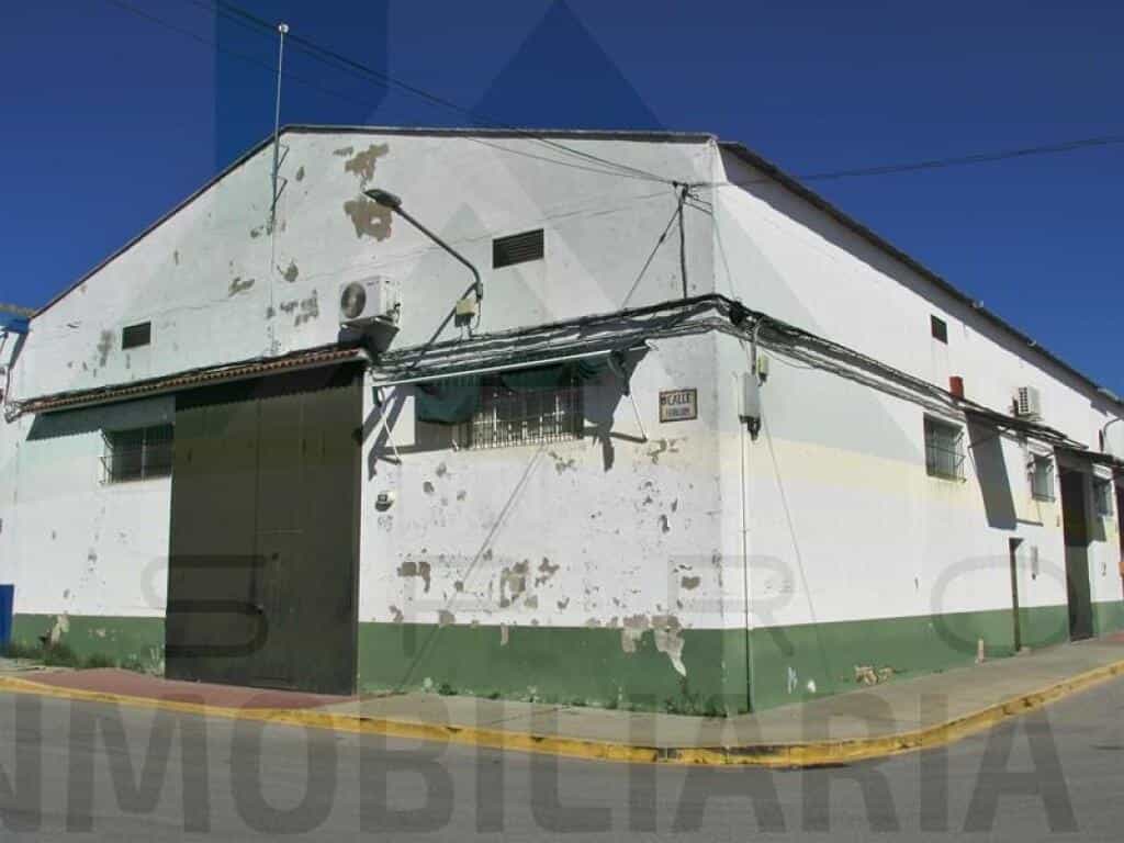 Industrial in Pilas, Andalusia 11627279