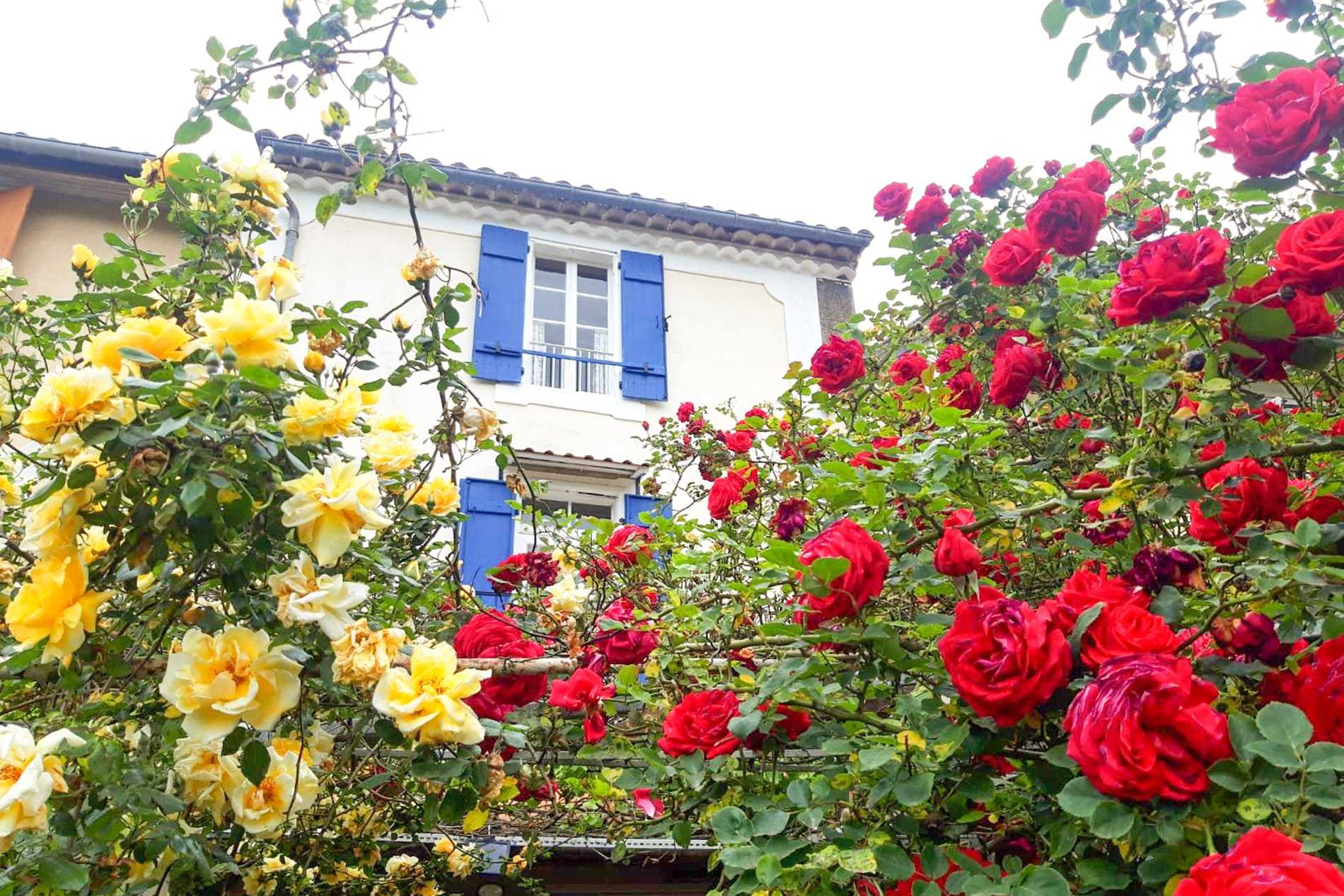 rumah dalam La Bastide-sur-l'Hers, Occitanie 11628587