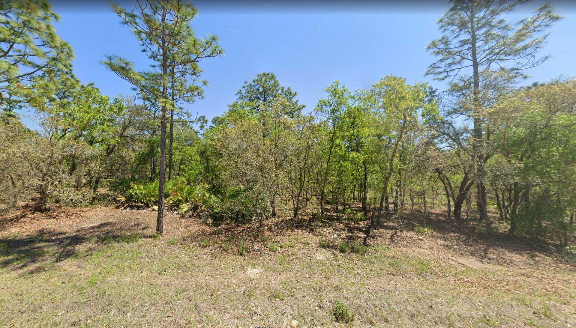 Land in Dunnellon, Florida 11630931