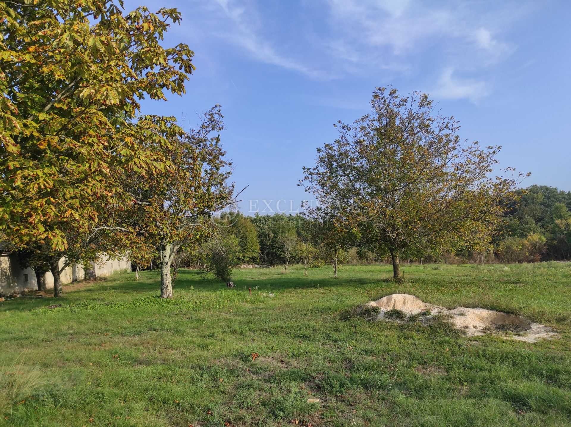 Γη σε Zminj, Istarska Zupanija 11631937