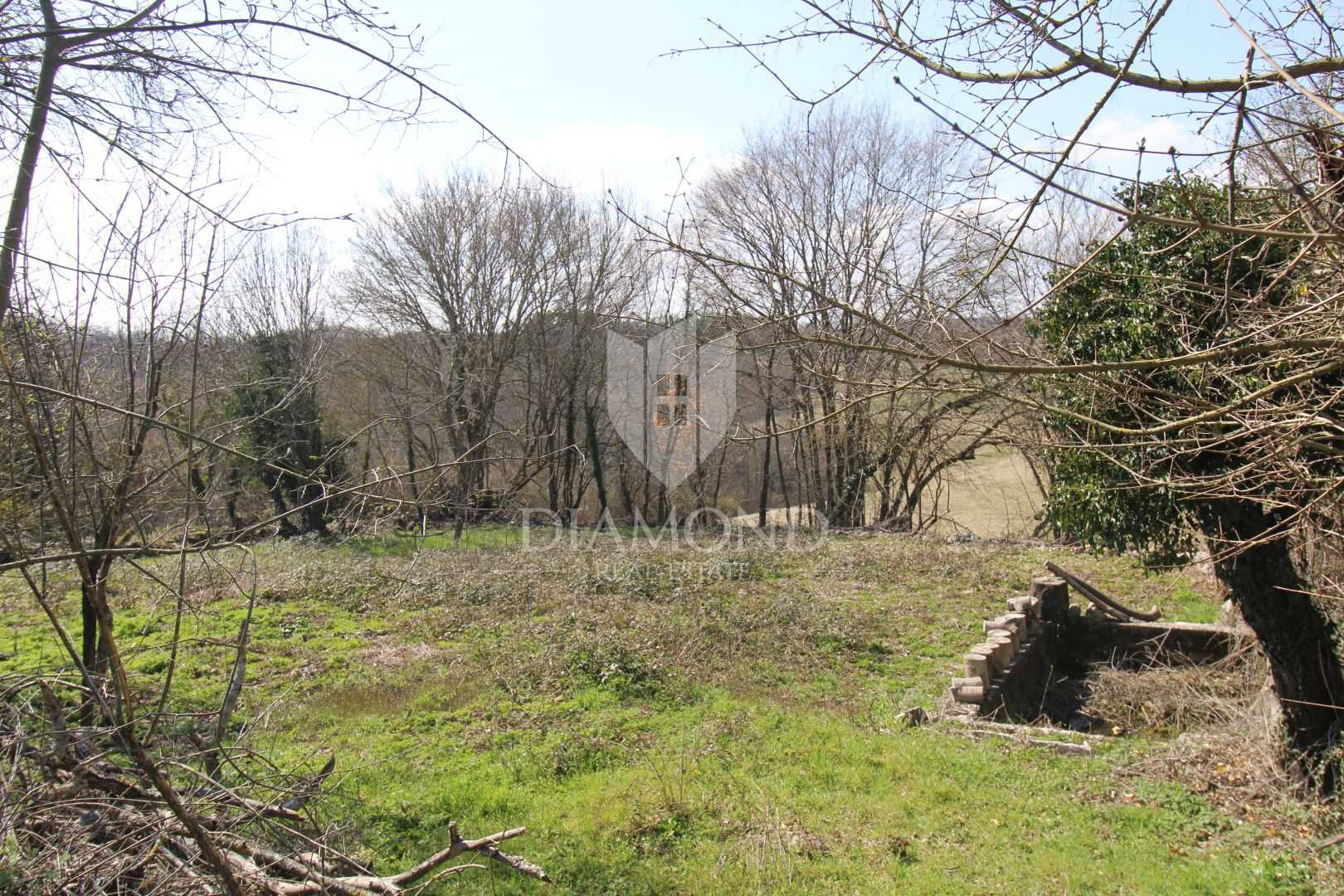 Hus i Sveti Petar u Sumi, Istarska Zupanija 11632847