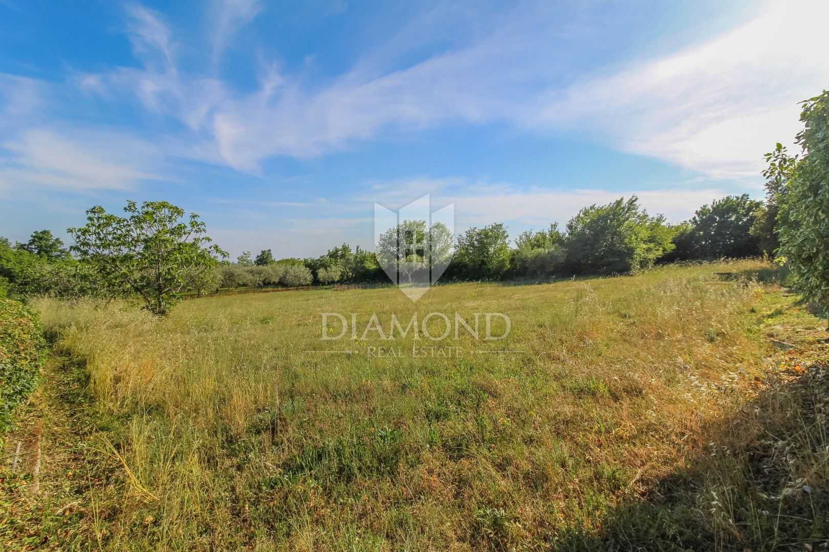 Land in Tar, Istria County 11632943