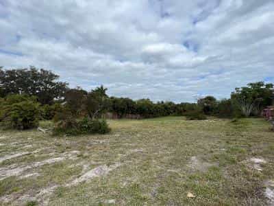 Tanah dalam Pulau Musytari, Florida 11634946