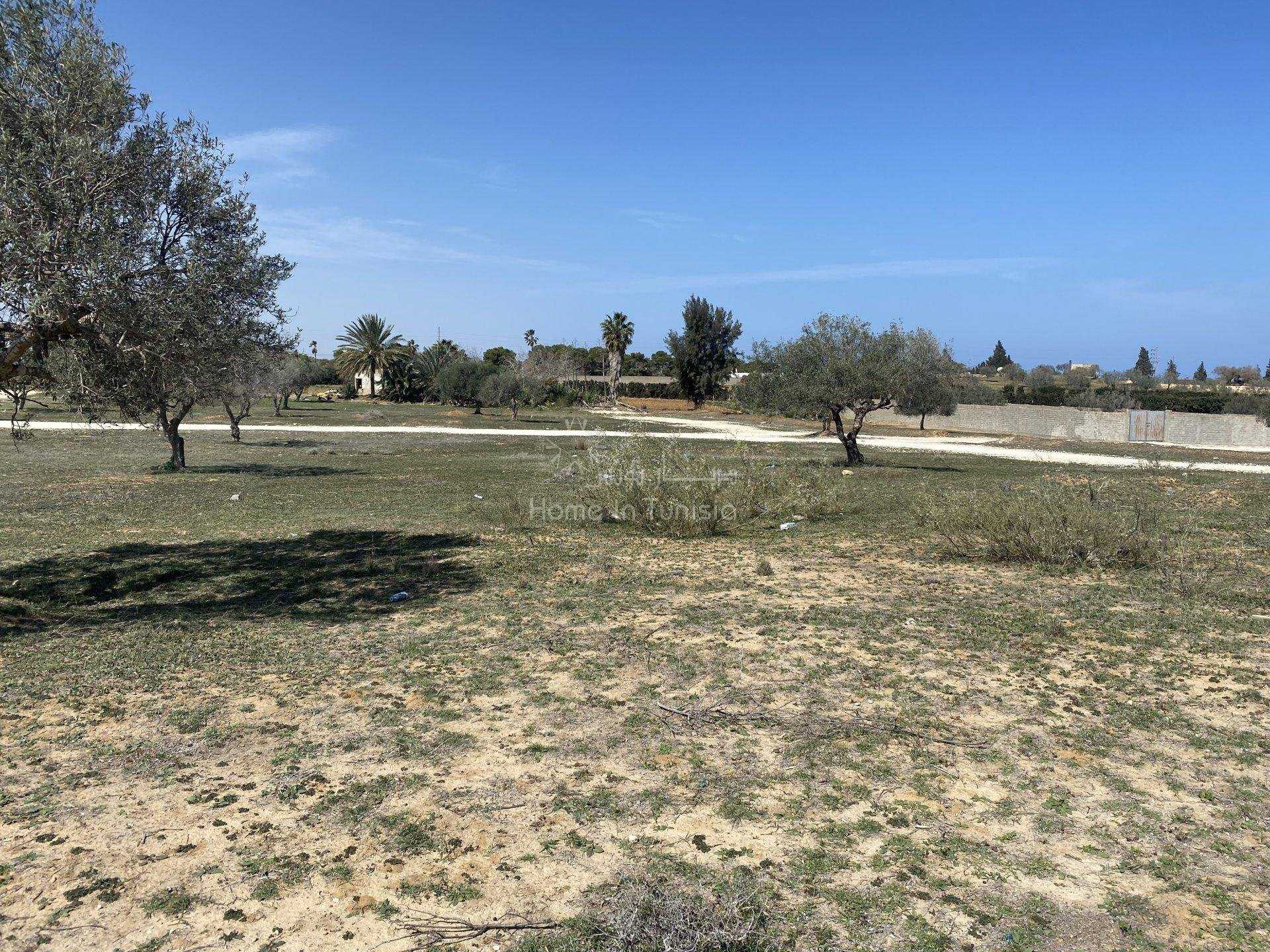 Land in Akouda, Sousse 11635161