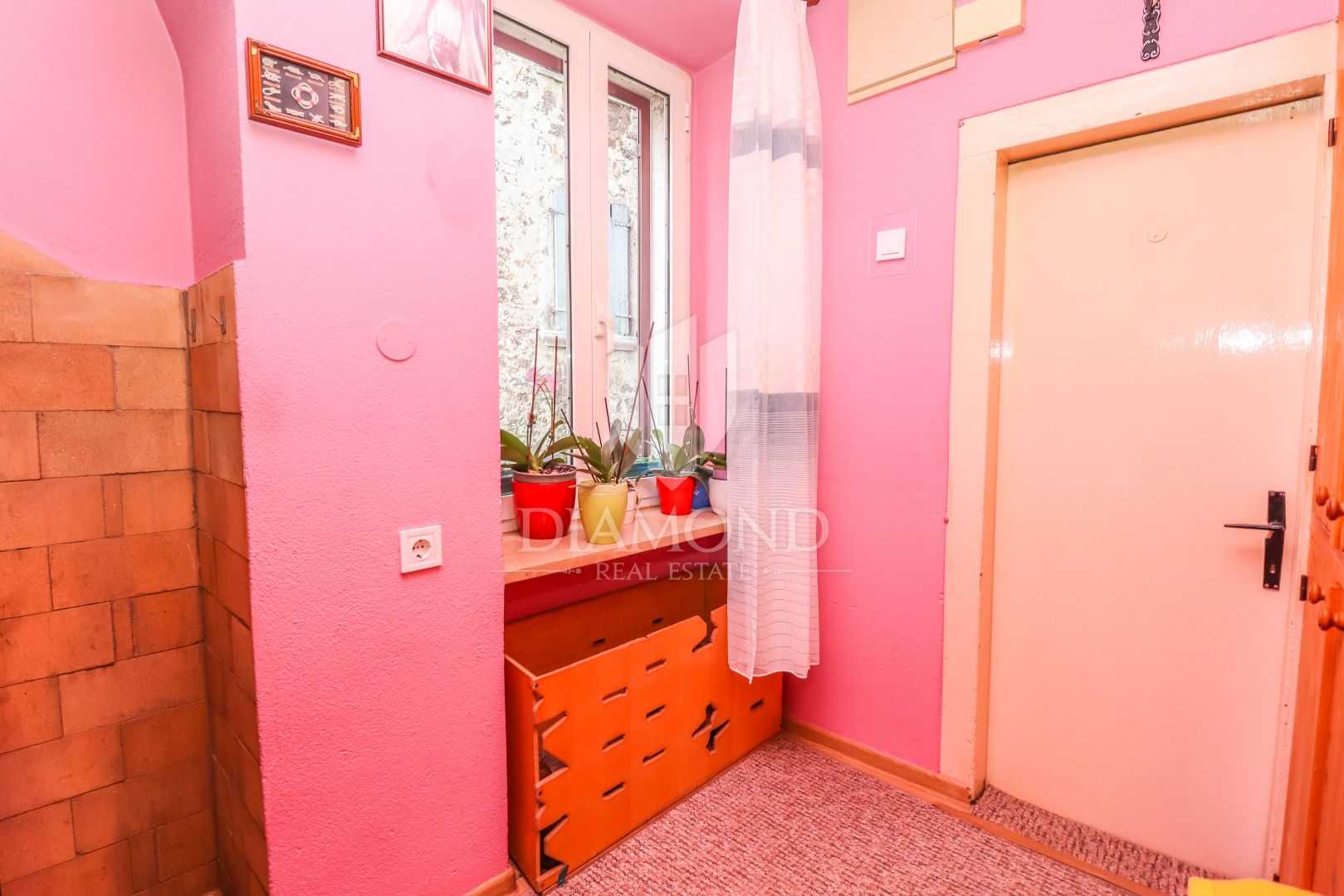 公寓 在 罗维尼, 伊斯塔斯卡·祖帕尼亚 11635998