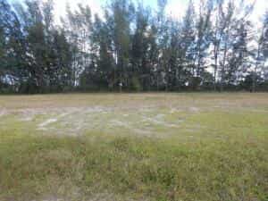 Tanah dalam Gilchrist, Florida 11636430