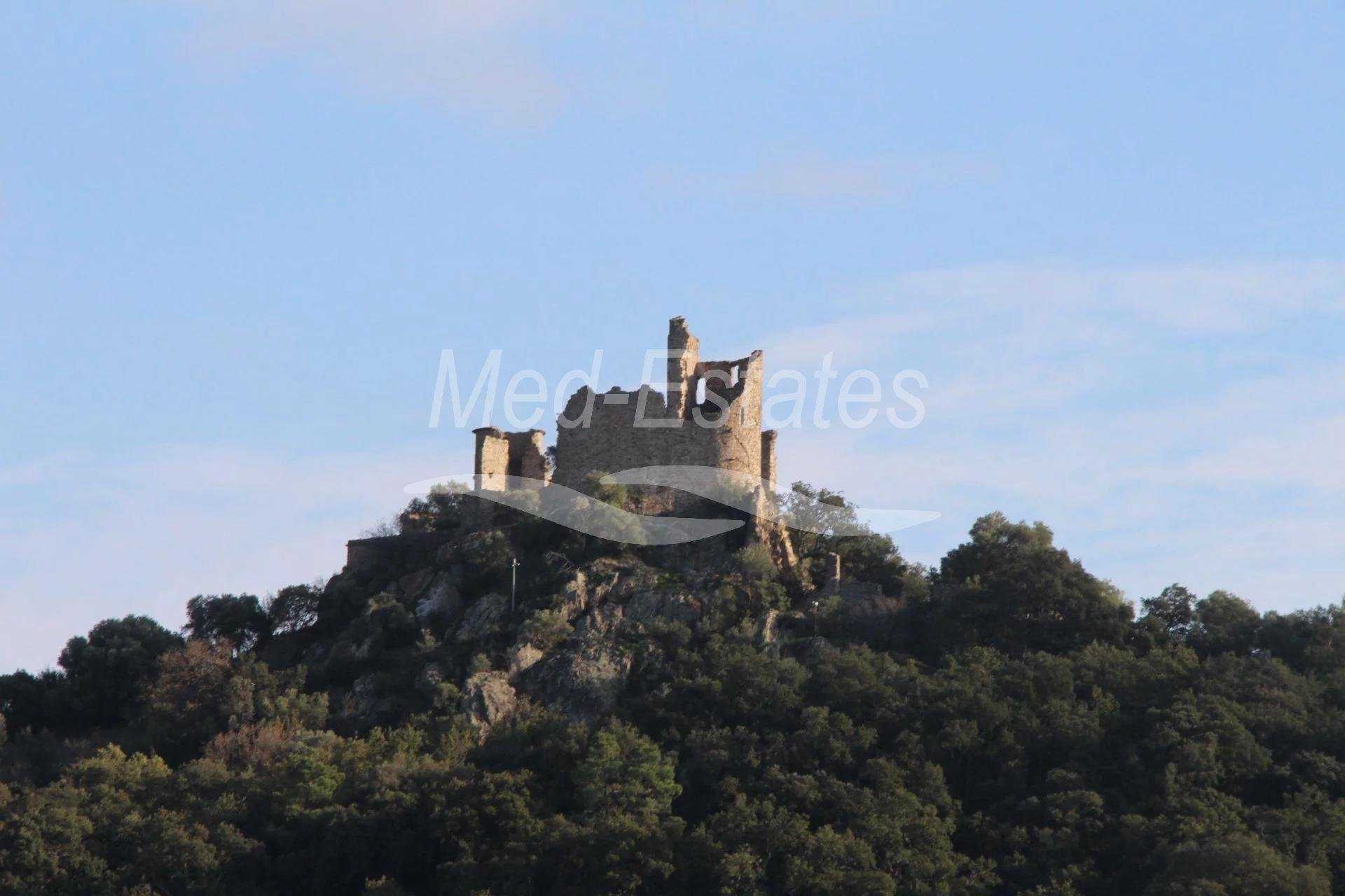 rumah dalam Grimaud, Provence-Alpes-Côte d'Azur 11636926
