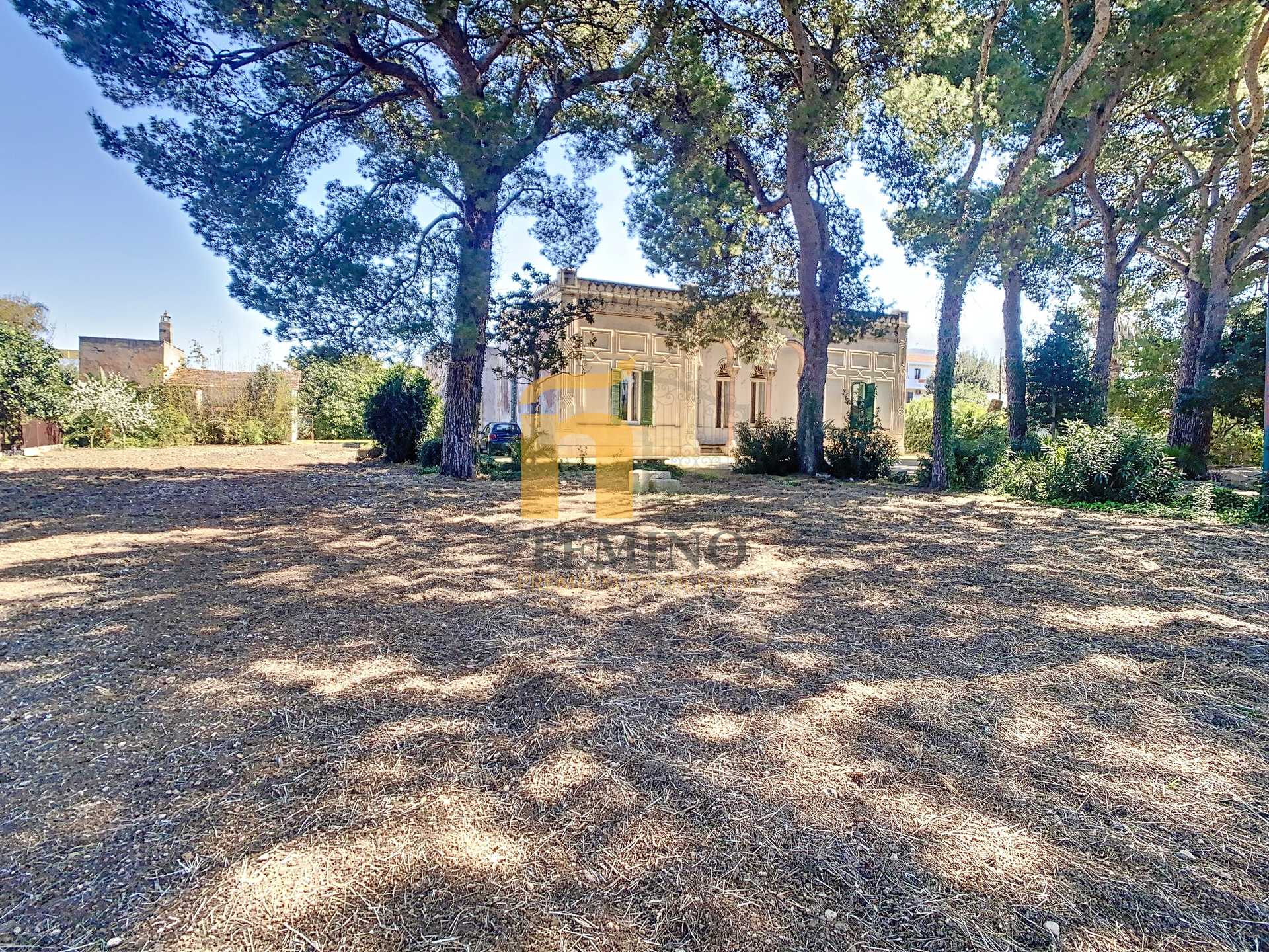 Dom w Aradeo, Apulia 11640908