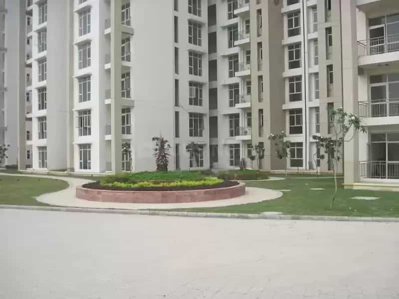 Real Estate in Lawan, Haryana 11641937