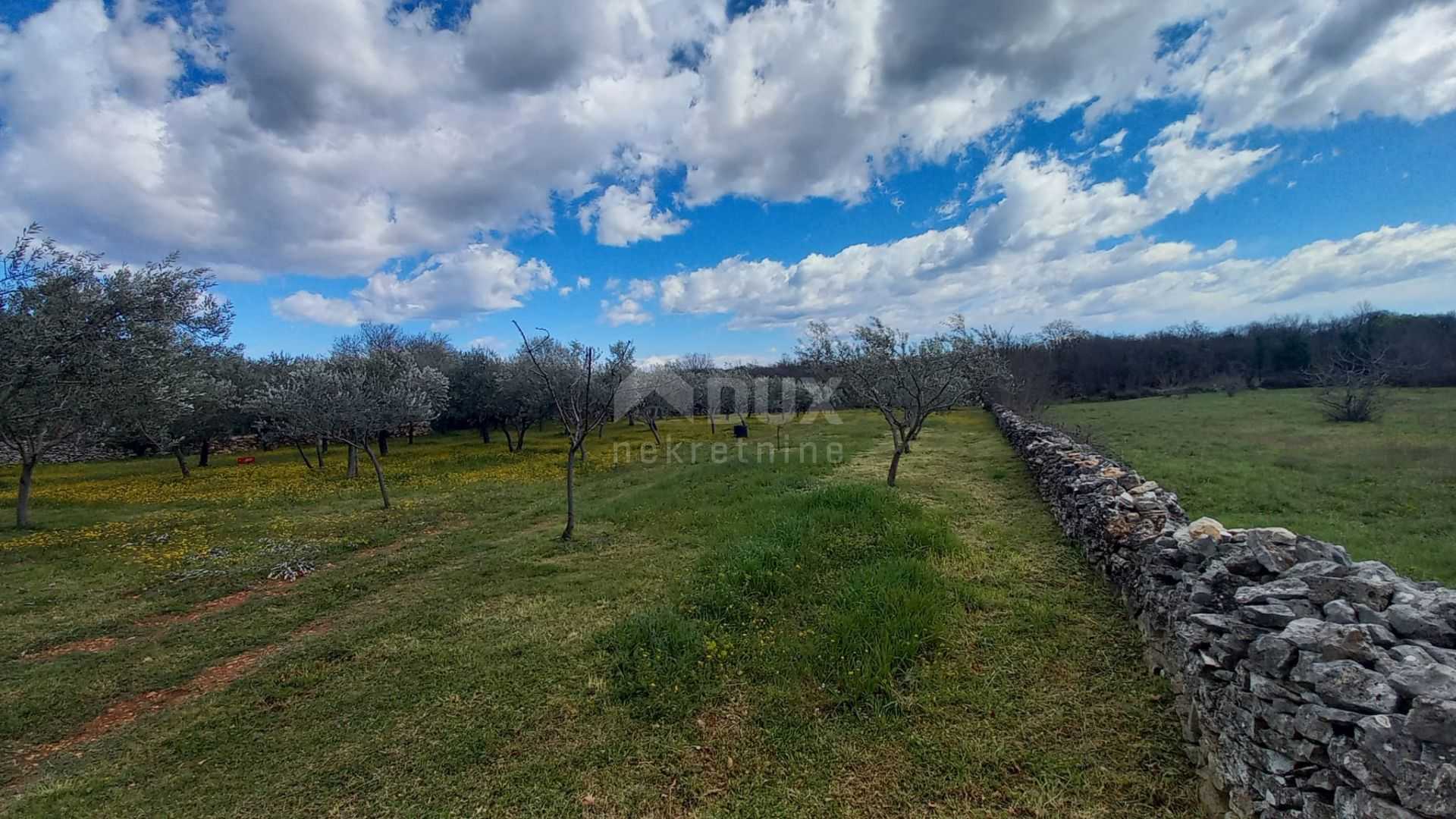 Land in Marcana, Istarska Zupanija 11642007