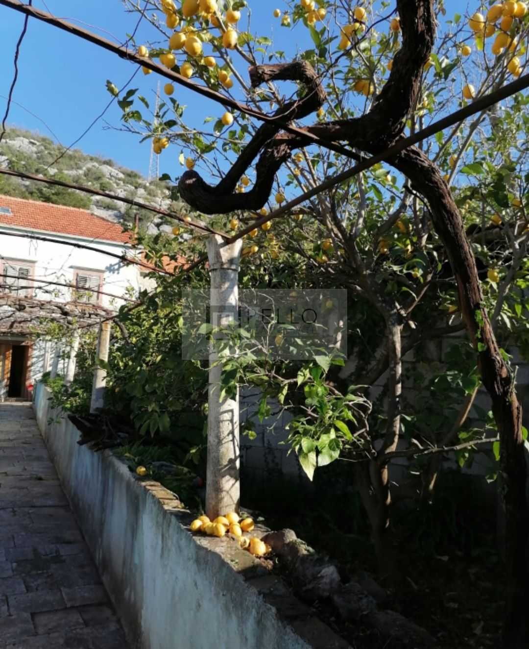 House in Stankovići, Dubrovnik-Neretva County 11642209