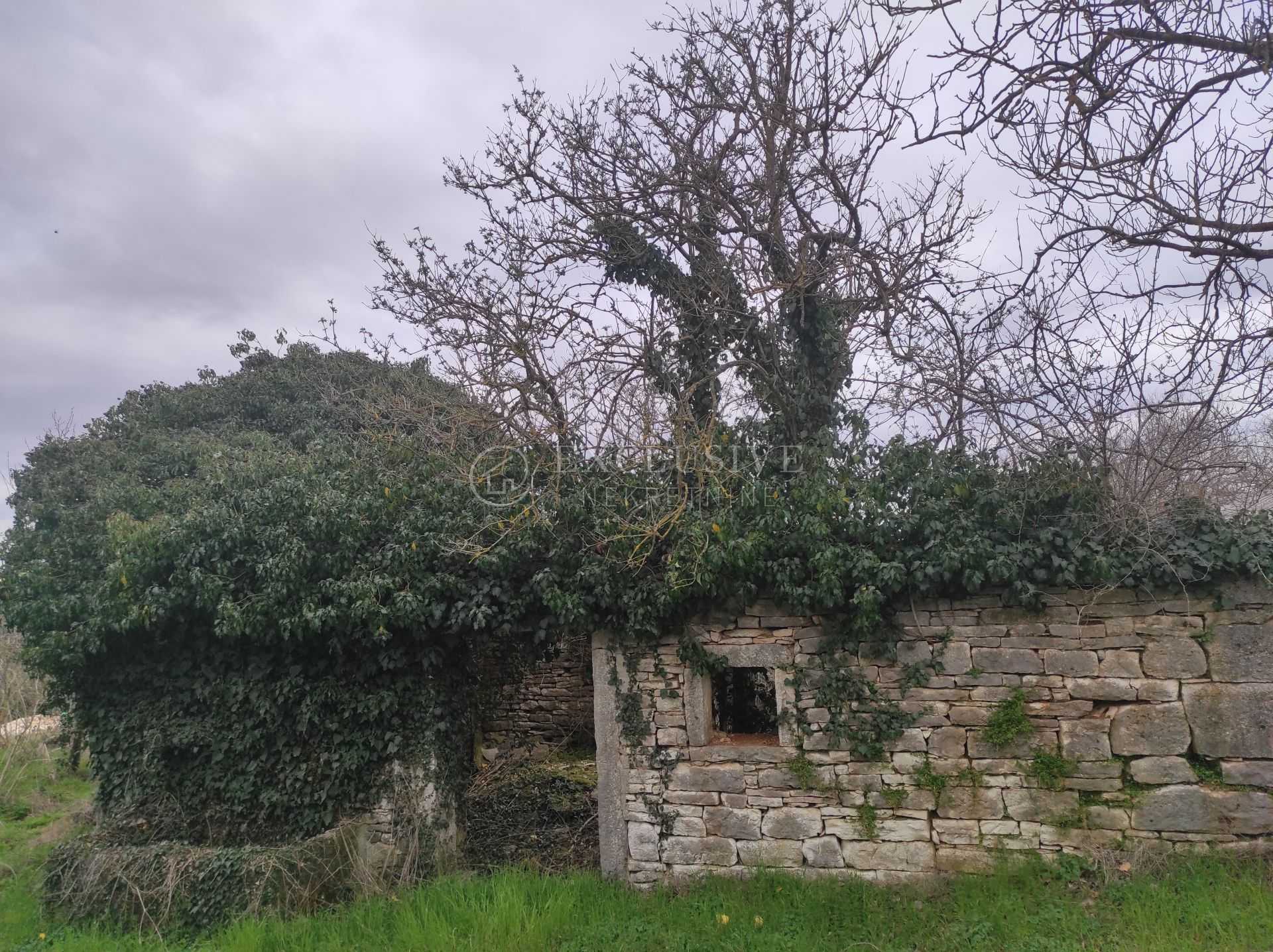 Dom w Zminj, Istarska Zupanija 11642895