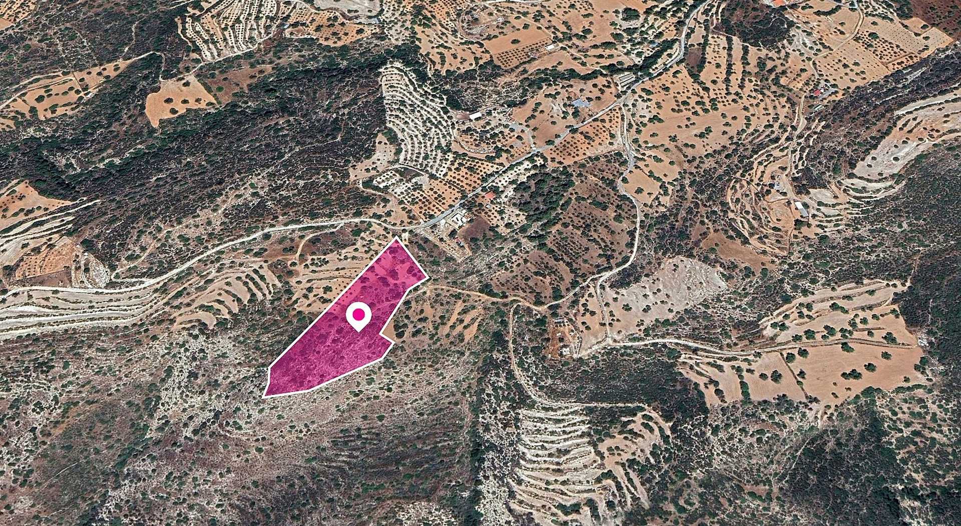 Tanah dalam Palodeia, Lemesos 11651261