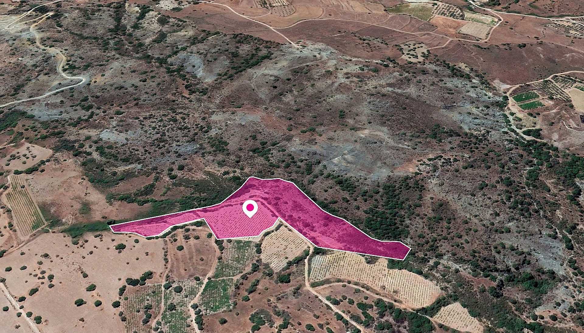 Land in Mesa Chorio, Pafos 11651449