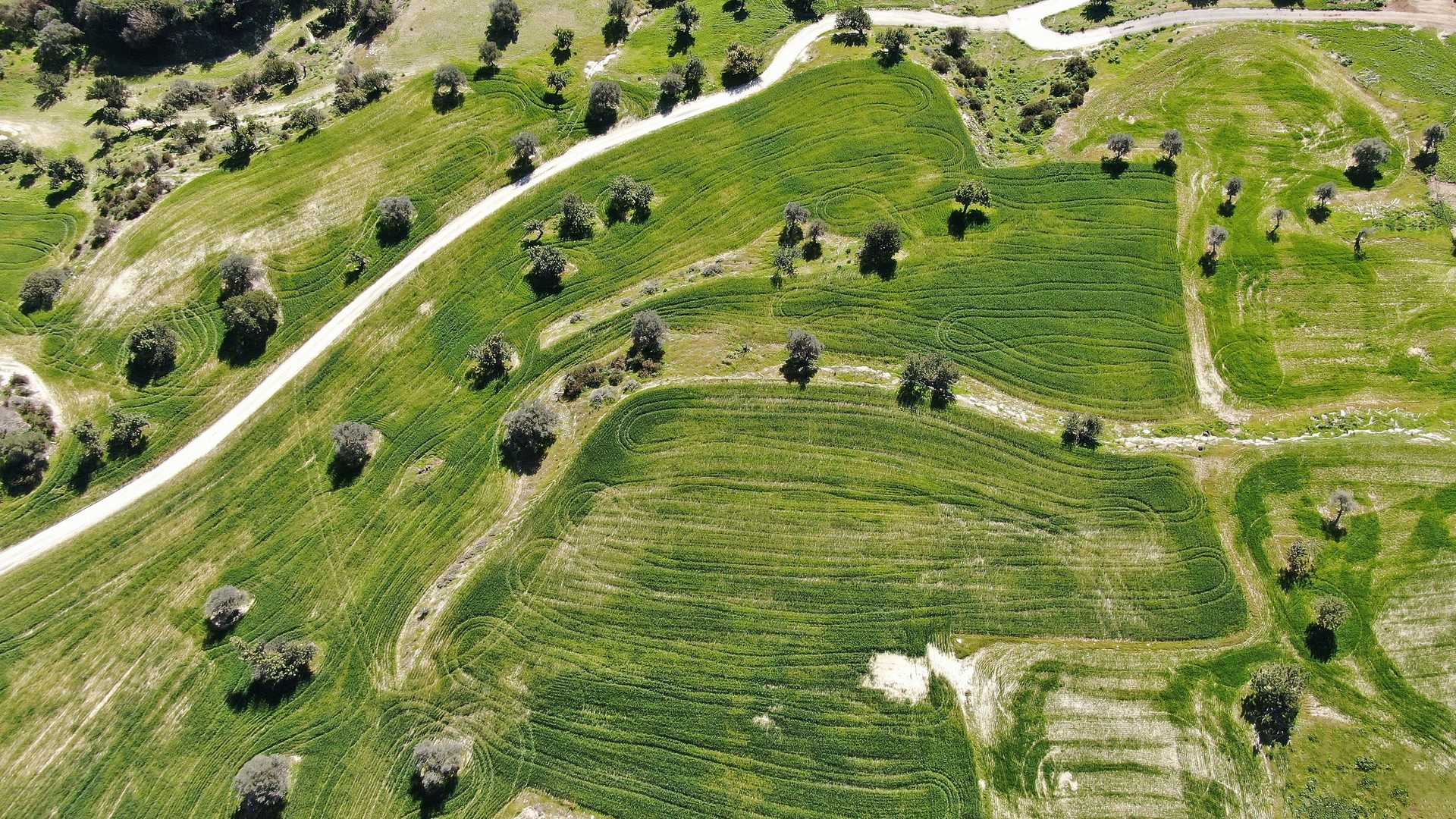 Tanah di Zygi, Larnaca 11651505