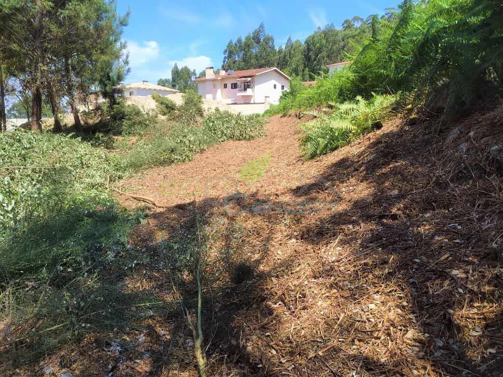 Land in , Aveiro District 11656374