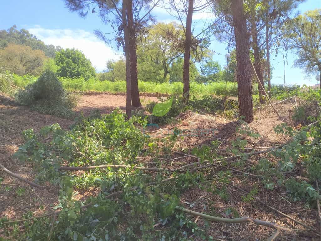 Land in , Aveiro District 11656374
