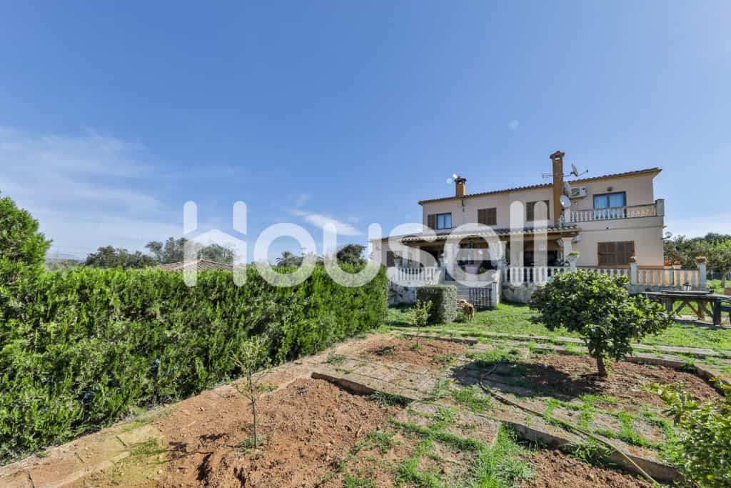 Будинок в Palma, Illes Balears 11656702