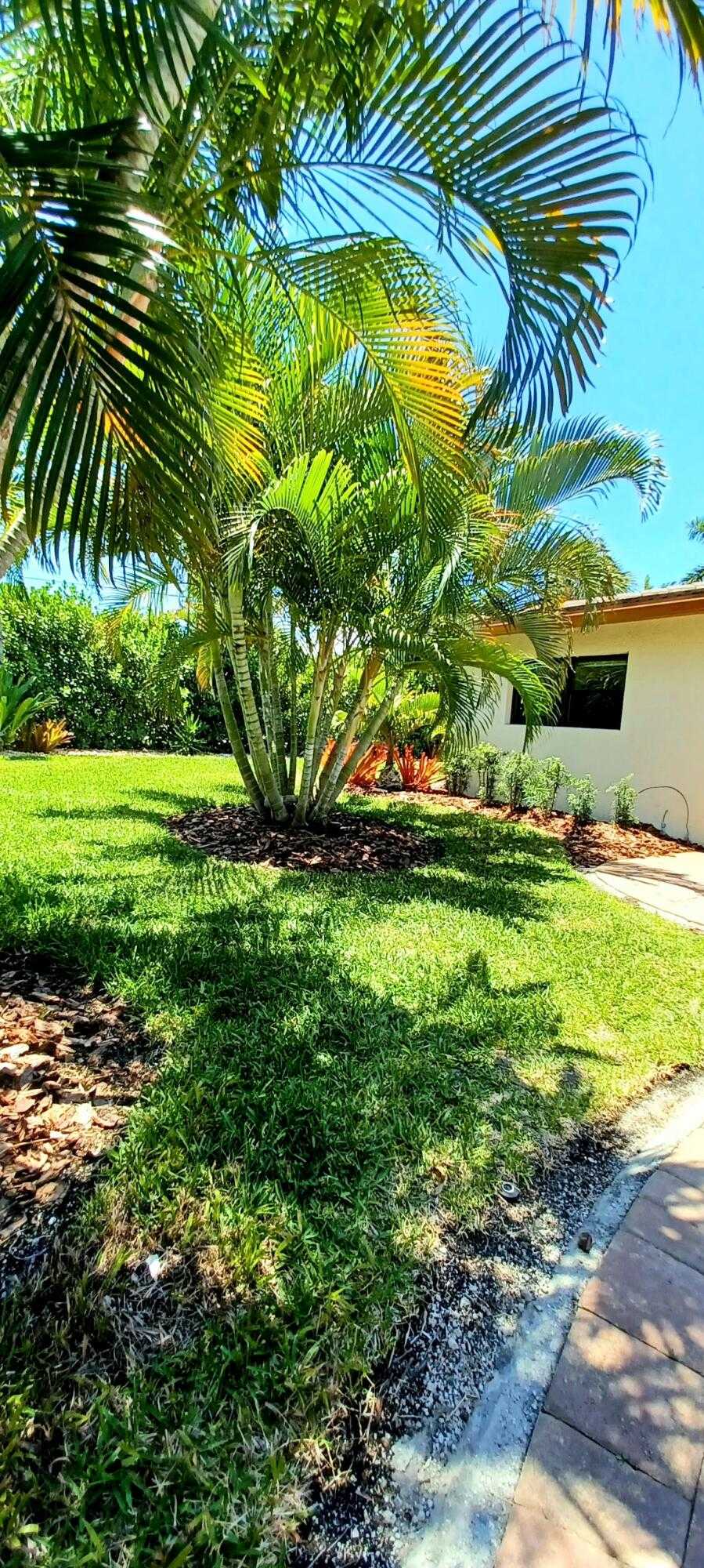 بيت في West Palm Beach, Florida 11657736